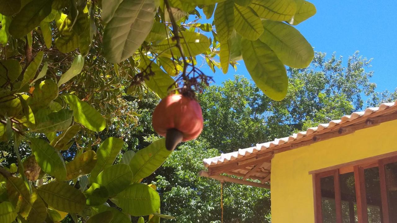 Casa Som Do Mar - Trancoso Villa Kültér fotó
